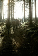 Young people walking out of a Forest.