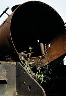 Withdrawn Locomotive in Barry Scrapyard.