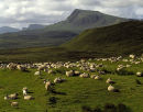 Trotternish Ridge, Isle of Skye, Scotland.