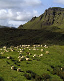 Trotternish Ridge, Isle of Skye, Scotland.