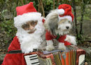 Santa with dog.
