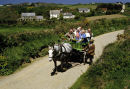 Sark transport, Channel Islands