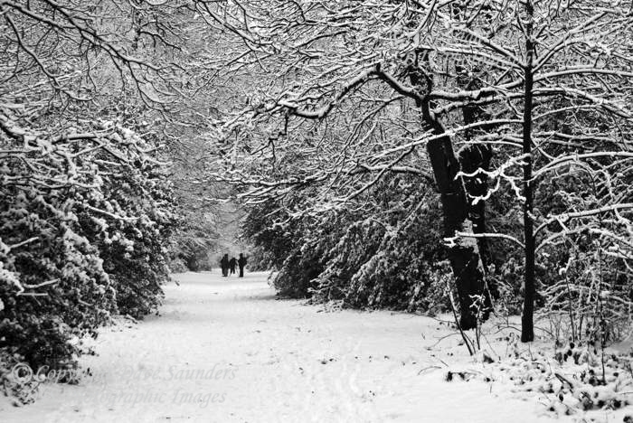 Winter walk