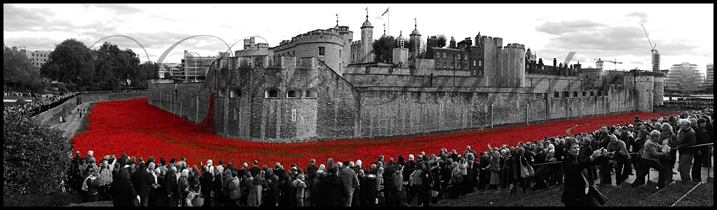 Tower of London Red Poppies