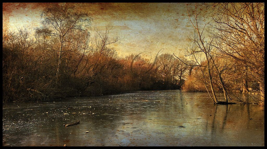 Winter Pond