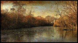 Winter Pond