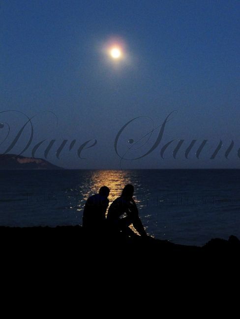 Moonlit Silhouette