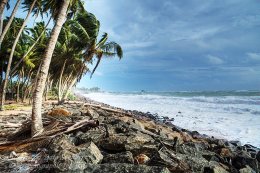 Sri Lankan shoreline