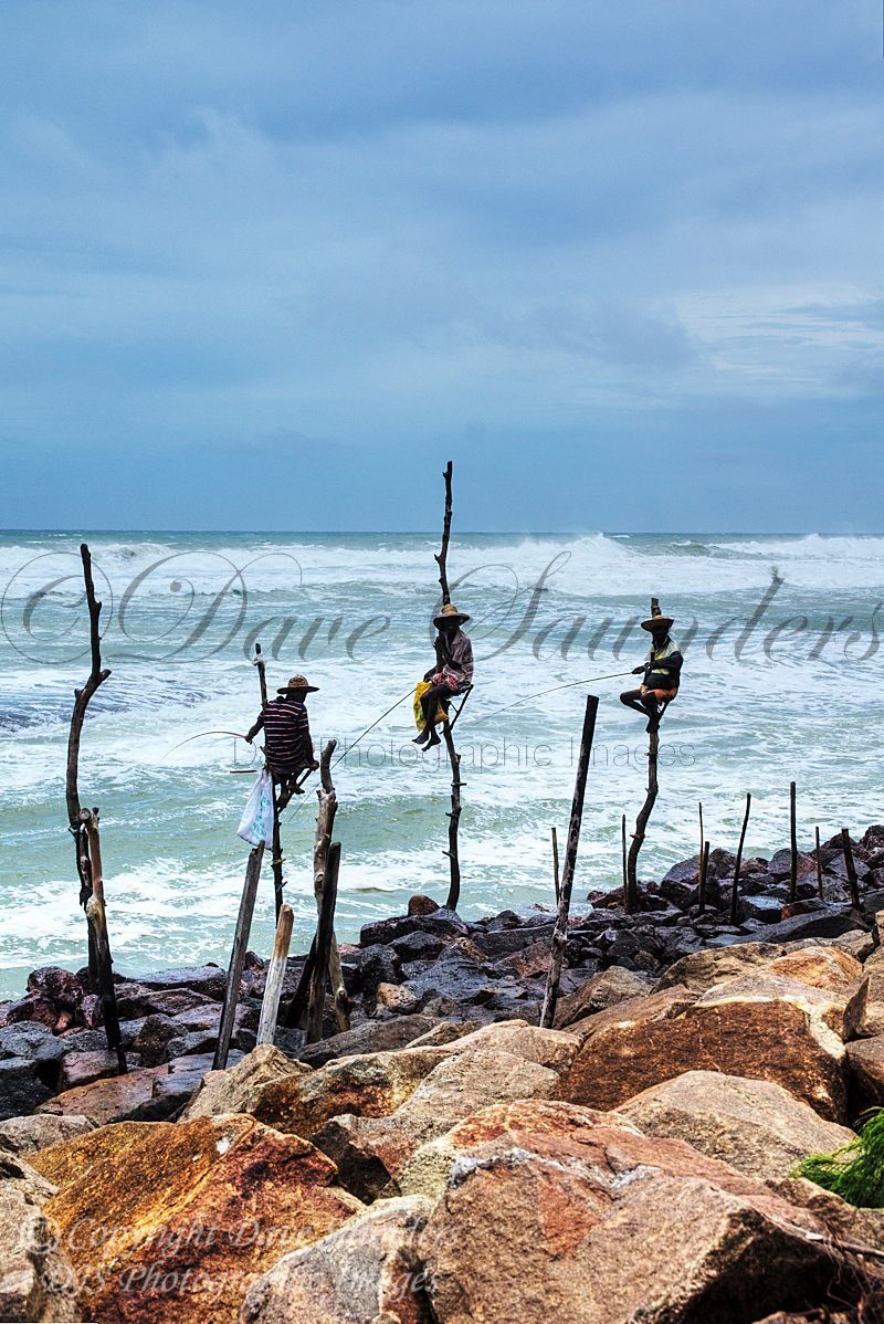 Stilt Fishermen