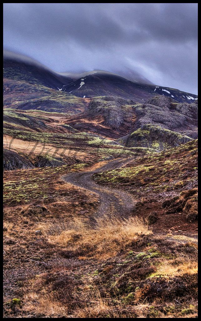 Wilderness pathway