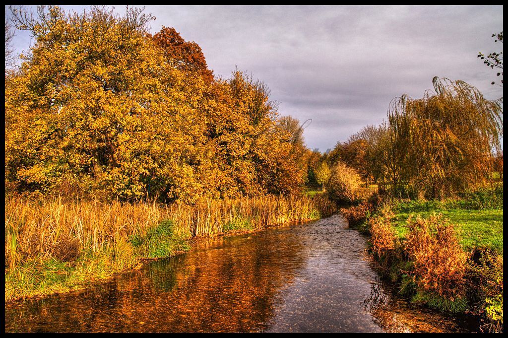 River Cray and Autumn Trees
