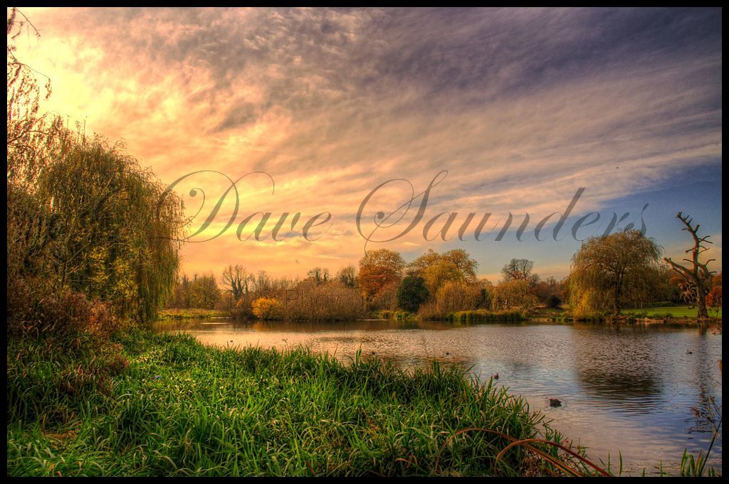 River Cray in Autumn light