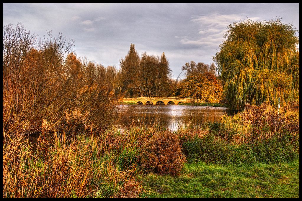 Autumn Bridge
