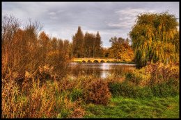 Autumn Bridge