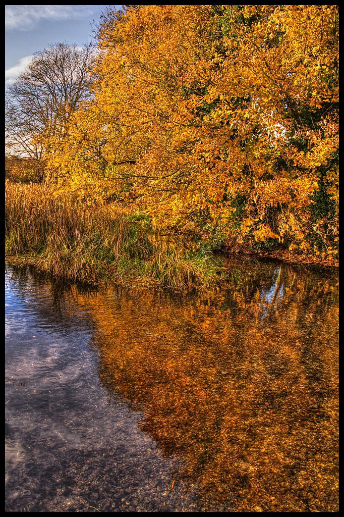 Autumn Reflection