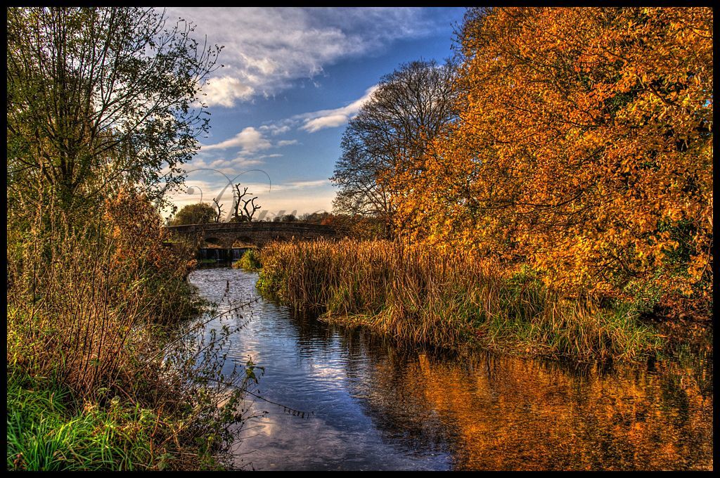 River Cray in Autumn