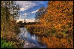 River Cray in Autumn