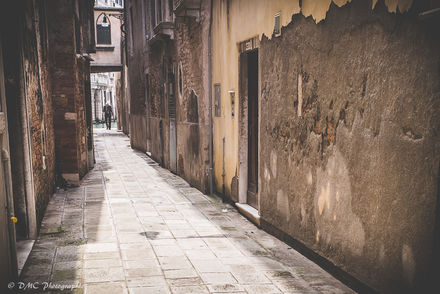 Old Man of Venice ii