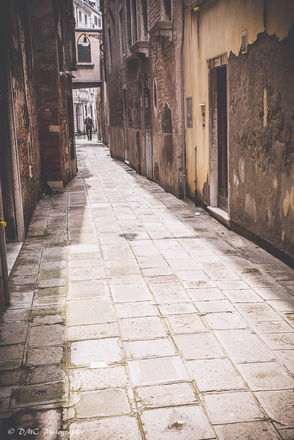 Old Man of Venice