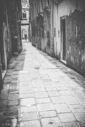 Old Man of Venice (Mono)