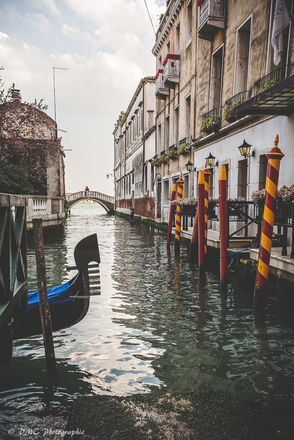 Venice ii