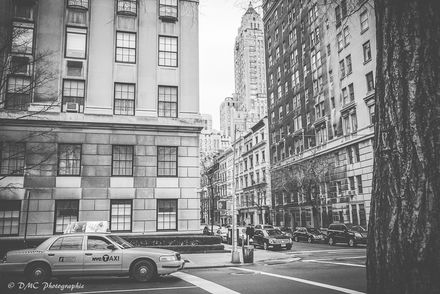 New York Taxi (Mono)