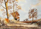 A Country Lane (SOLD)