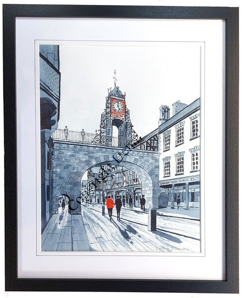 Not More Shops, Chester, UK