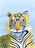 Tiger Tiger