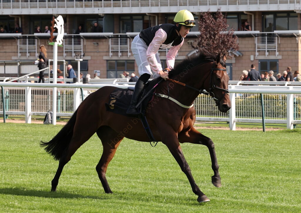 Pricedup Cond Jockeys' H'cap Chase