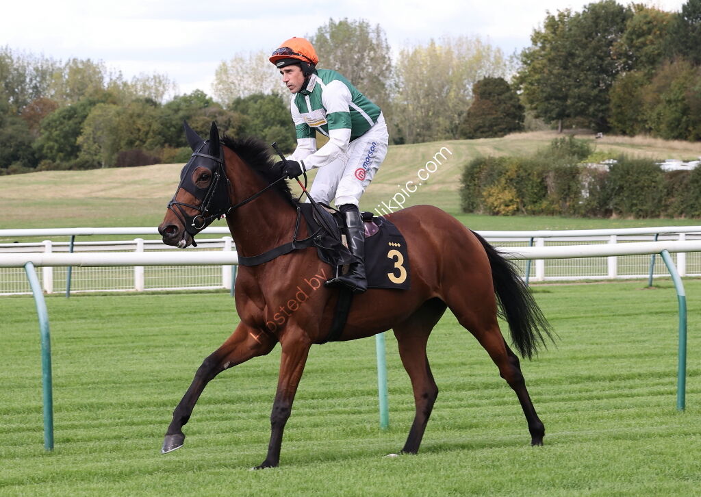 Pricedup Nov Hurdle Div 1