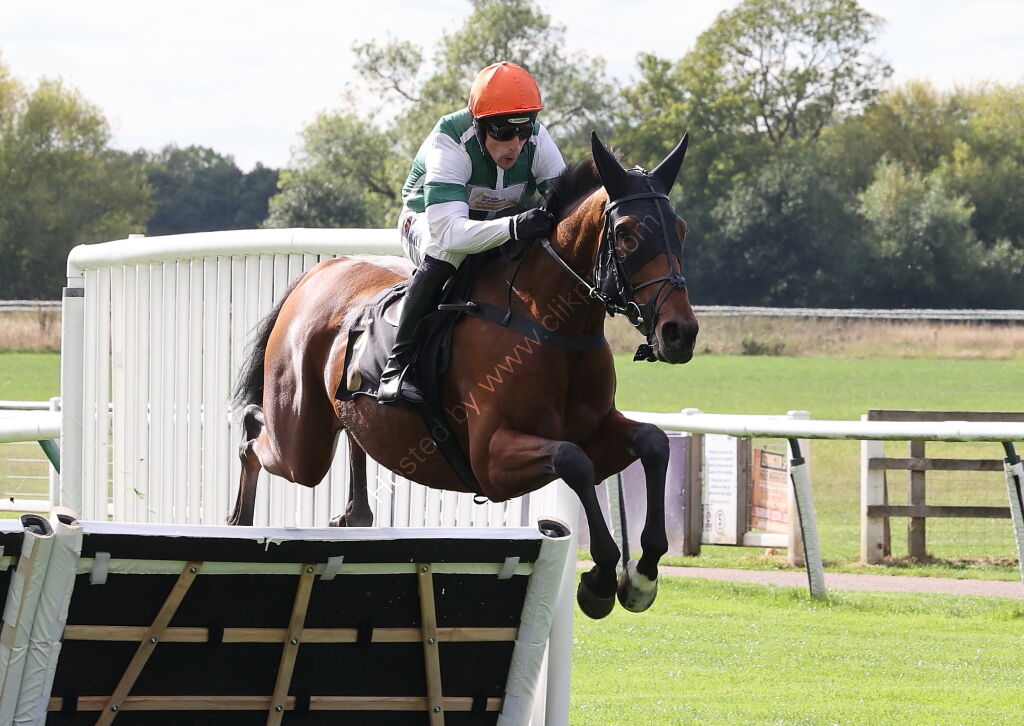 Pricedup Nov Hurdle Div 1