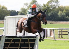 Pricedup Nov Hurdle Div 1