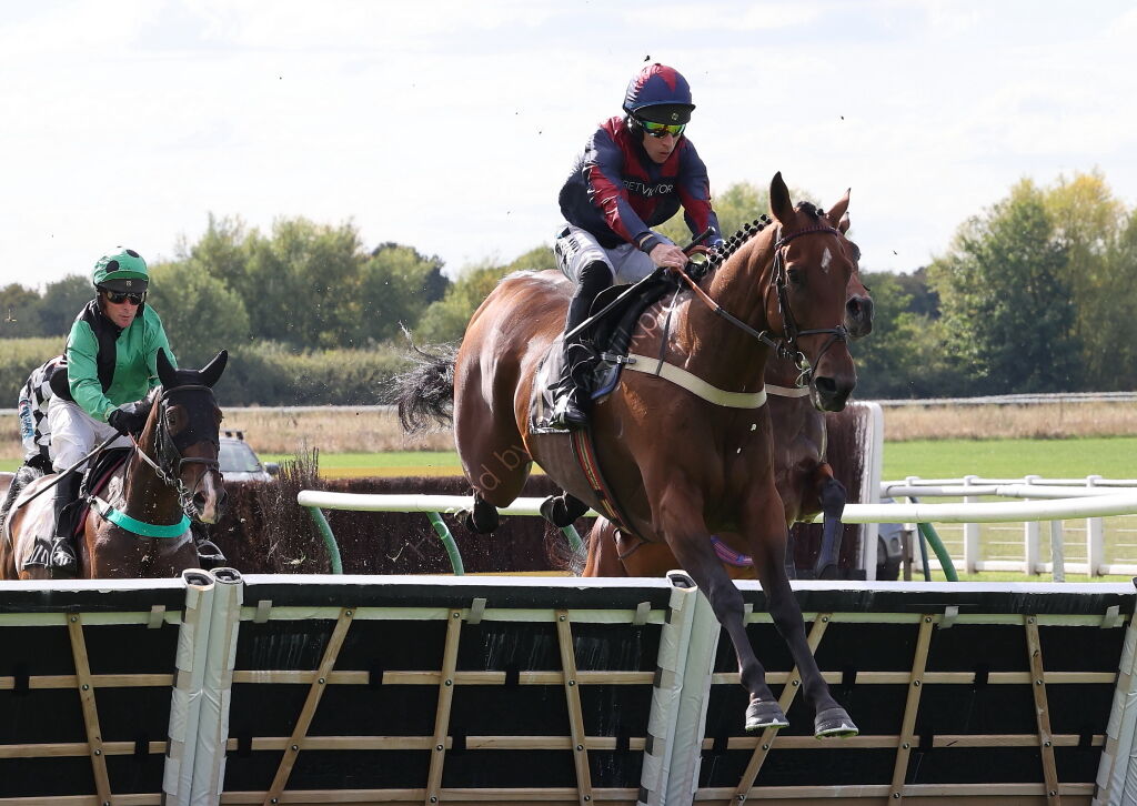 Pricedup Nov Hurdle Div 1