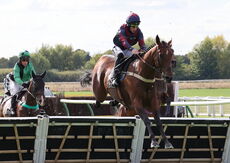 Pricedup Nov Hurdle Div 1