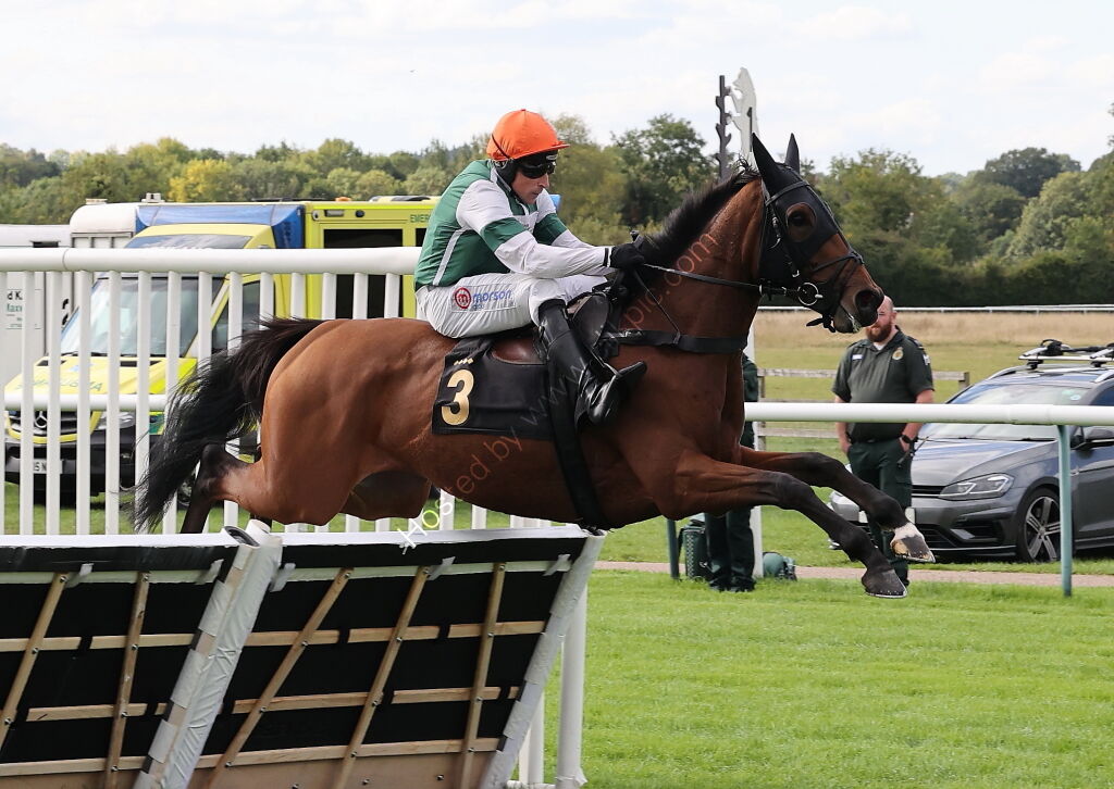 Pricedup Nov Hurdle Div 1