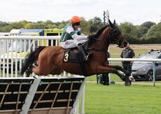 Pricedup Nov Hurdle Div 1