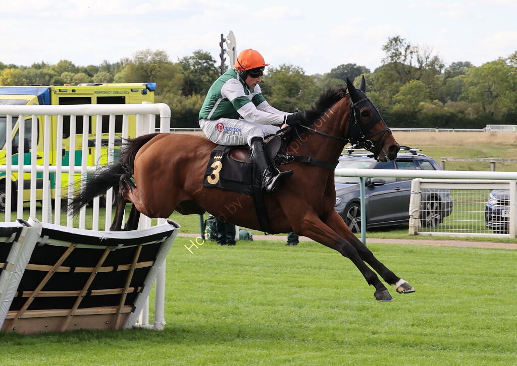 Pricedup Nov Hurdle Div 1