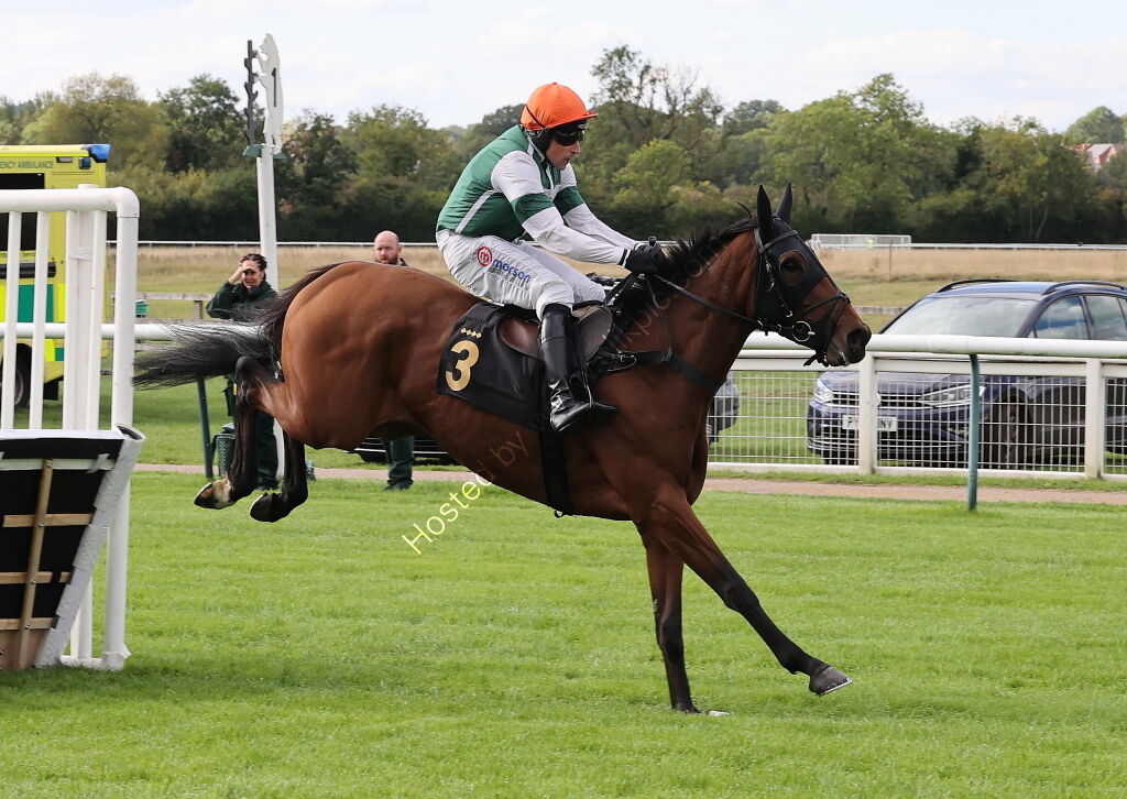 Pricedup Nov Hurdle Div 1