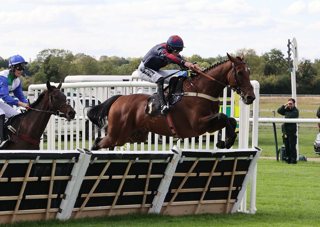 Pricedup Nov Hurdle Div 1