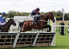 Pricedup Nov Hurdle Div 1