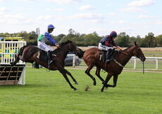 Pricedup Nov Hurdle Div 1