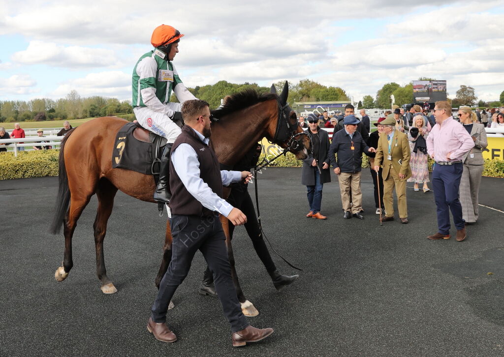 Pricedup Nov Hurdle Div 1