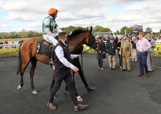 Pricedup Nov Hurdle Div 1