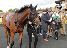 Pricedup Nov Hurdle Div 1