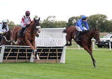 Pricedup Nov Hurdle Div 2