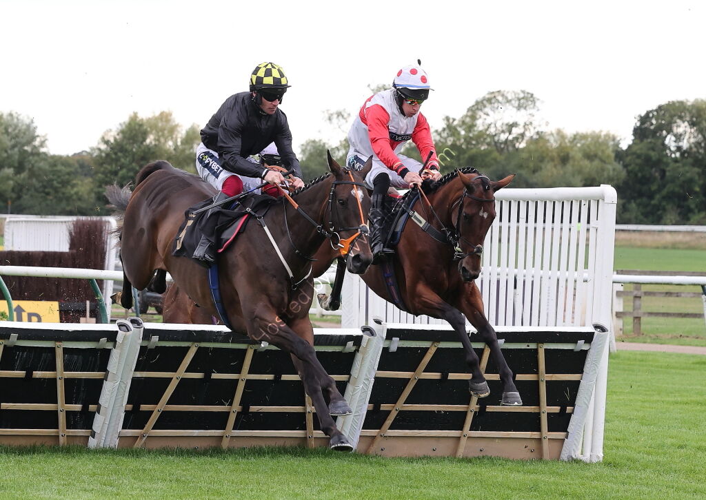 Pricedup Nov Hurdle Div 2