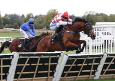 Pricedup Nov Hurdle Div 2