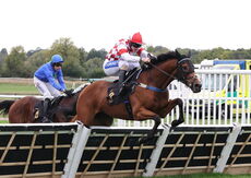 Pricedup Nov Hurdle Div 2