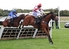 Pricedup Nov Hurdle Div 2